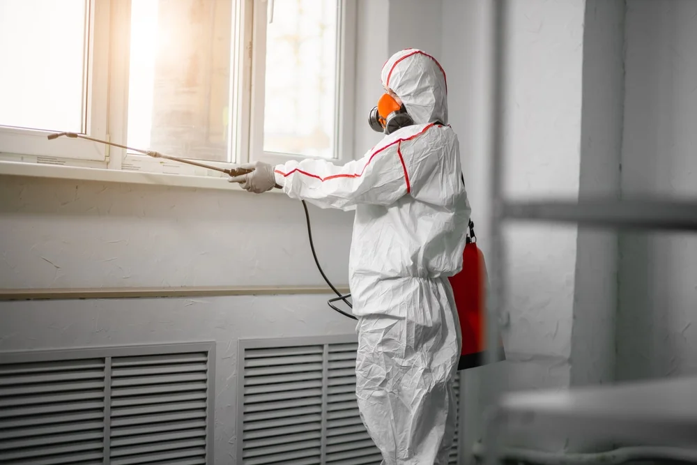 Professional mold remediation services in Marlette, MI